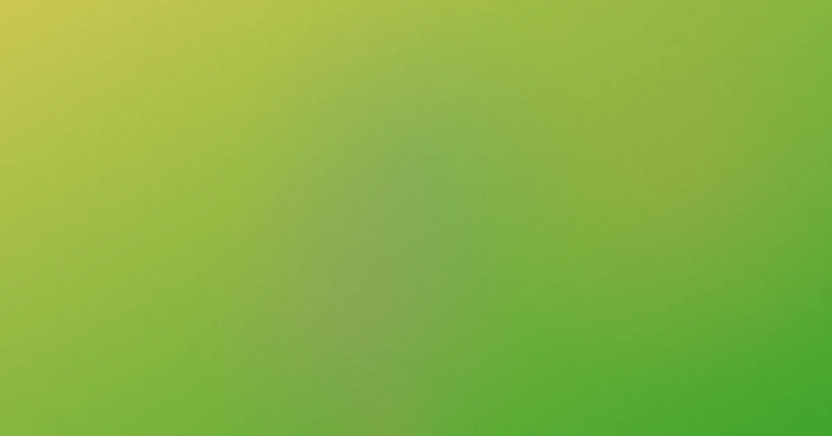 91福利院是什么？把名称和风险说透